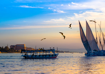 Egyptian voyage on the Nile. © Repina Valeriya