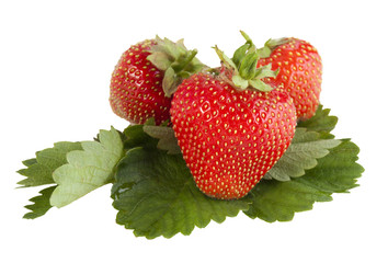 Strawberries on a white background