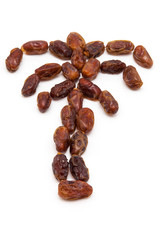 Medjool dates isolated on a white background.