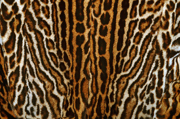 leopard fur coat background