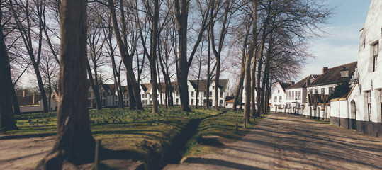 Urban park in winter with whitewashed houses © ysbrandcosijn