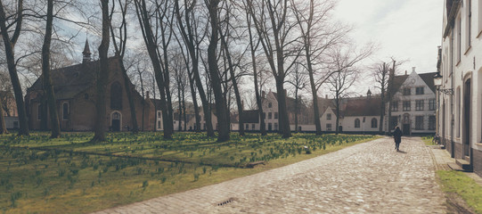 Cobblestone road and whitewashed houses at a park