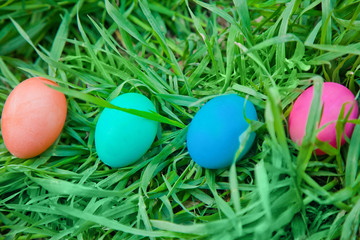 Four colored eggs in the grass