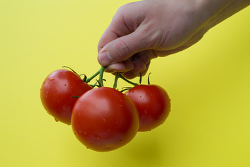 man's hand hold three tomatoes, horizontal
