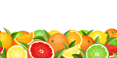 Horizontal seamless background with citrus fruits. Vector.