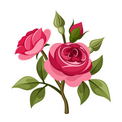 Obraz premium Branch of red roses. Vector illustration.