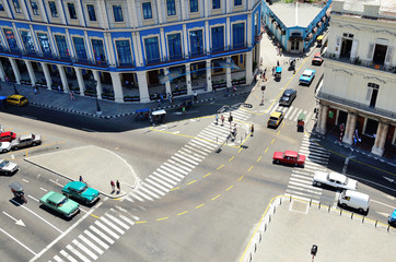 Road crossing top view