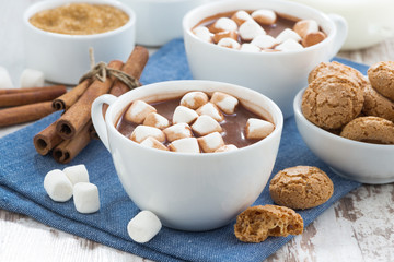 cocoa with marshmallows and almond cookies
