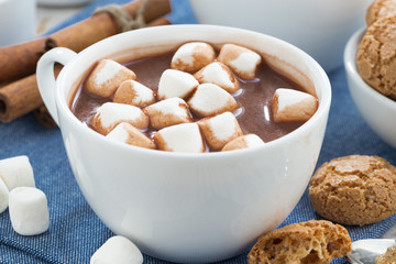 cup of cocoa with marshmallows and almond cookies, close-up