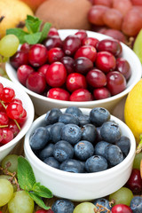 fresh blueberries, berries and fruits, vertical