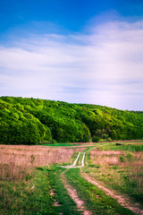 Green Field