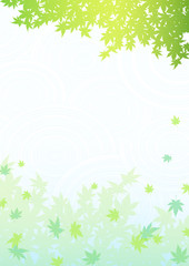 青もみじ　水面