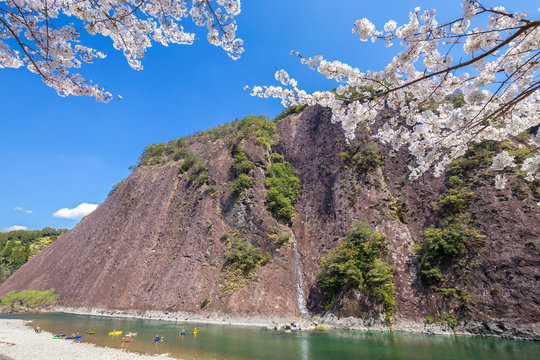 春の古座川一枚岩