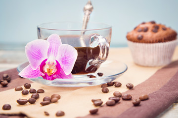 muffin and orchid