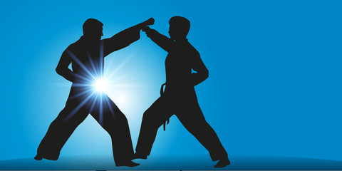 Karate combat © pict rider