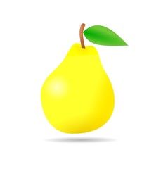 Pear - illustration