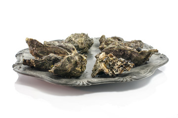 plate of expensive oysters