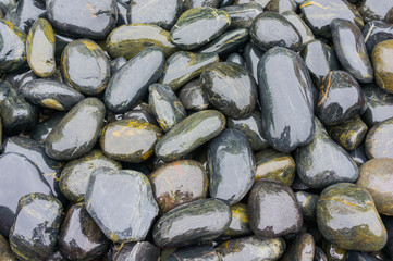 Hintergrund Kieselsteine in dunklen Grüntönen für Fußmassage