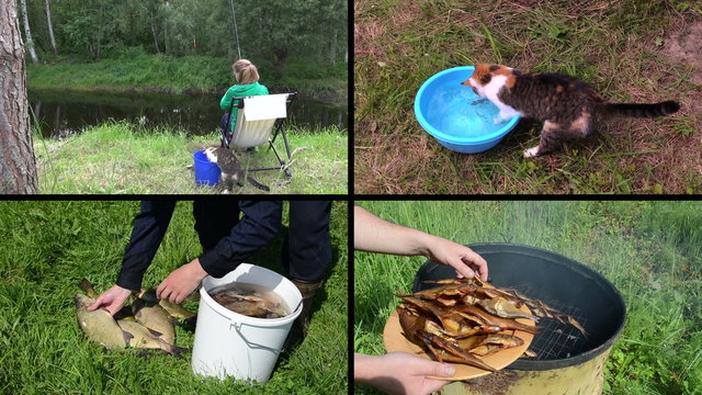 Woman angling with cat pet. Smoked fish. Video clips collage.