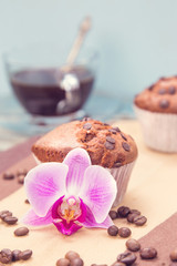 Fototapeta na wymiar muffin and orchid
