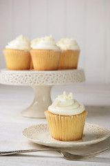 Vanilla cupcakes ready to eat