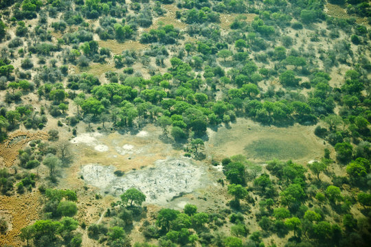 aerial view of south sudan wilderness