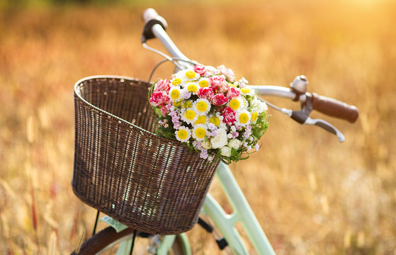 Vintage bicycle with basket full of flowers standing in field