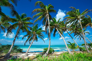 Obraz premium beach