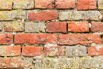 Vintage or grungy brick background with cement