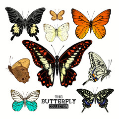 The Vintage Butterfly Collection