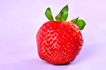 eine  frische erdbeere auf lila hintergrund