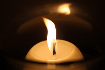 Vela