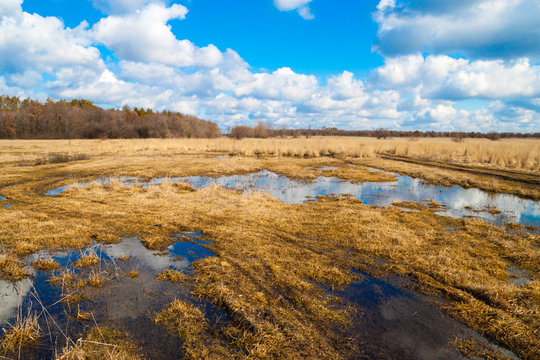 flooded meadows in early spring
