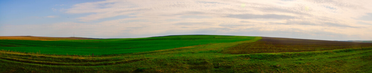 Obraz premium The Spring Steppe