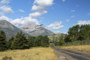 Naklejka premium Road through Rocky Mountain foothills - Waterton Lakes National