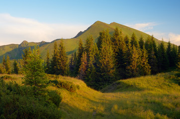 Evening in the Mountains