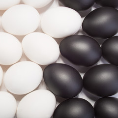 many of black and white eggs as background