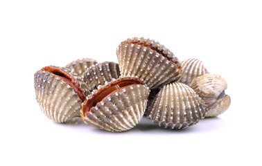 Clam shellfish food