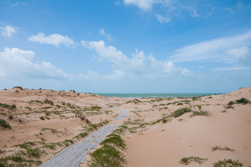 Sand dunes near the Sea
