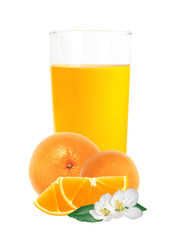 orange juice in the glass and orange fruit isolated on white