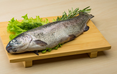 Raw fresh trout