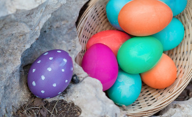 Fototapeta na wymiar Placing eggs for egg hunt