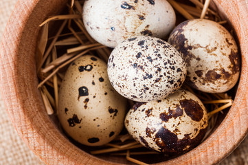 raw quail eggs in a wooden bowl on burlap background