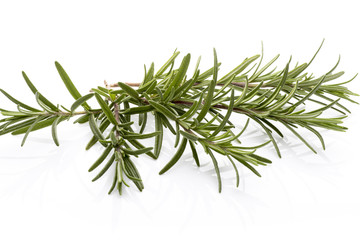 Fototapeta premium Rosemary.
