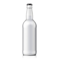 Mock Up Glass Beer Clean Bottle