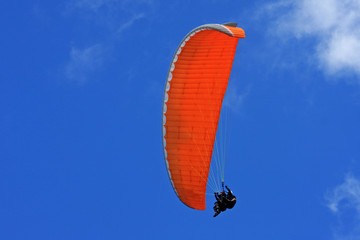 Tandem Paraglider