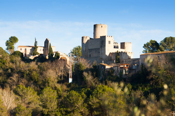 Fototapeta na wymiar View of Castle at Castellet