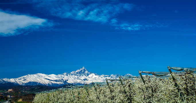 meli e monviso