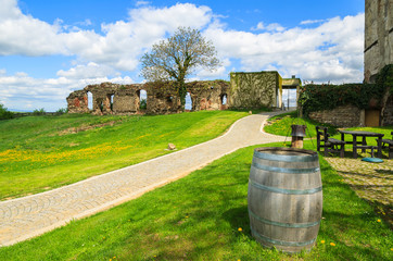 Fototapeta na wymiar Medieval Gussing castle in spring time, Burgenland, Austria