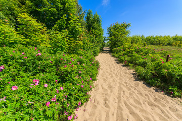 Fototapeta na wymiar Path to sandy beach in Sopot town, Baltic Sea, Poland